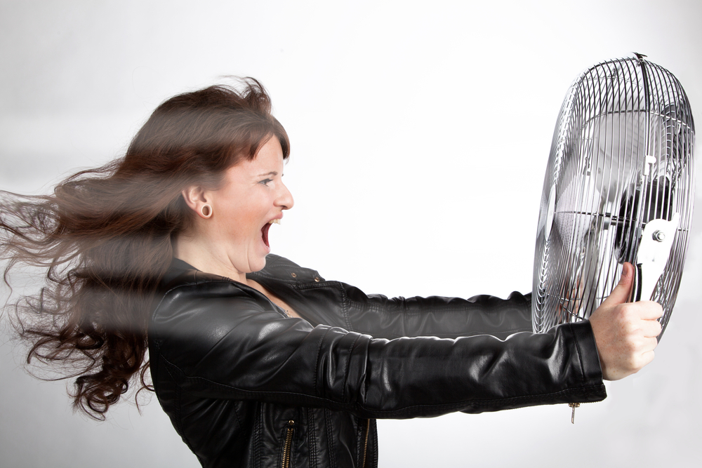 hotflash, fan.jpg